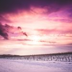 sun-and-clouds-over-snowy-wineyard-picjumbo-com